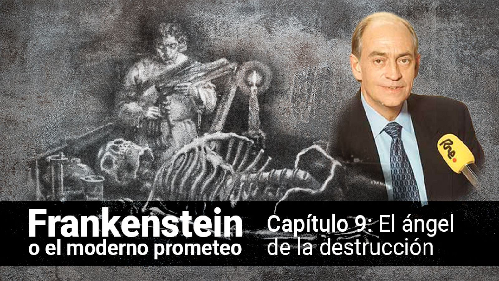  Frankenstein o el moderno Prometeo - Capítulo 9: El ángel de la destrucción
