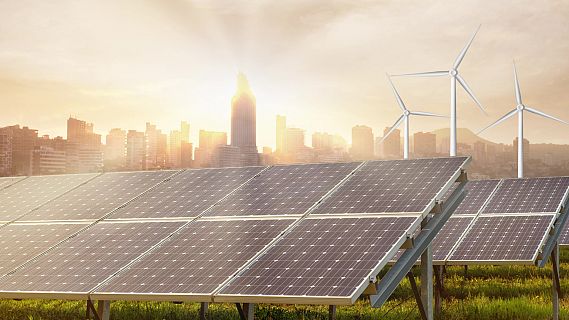 Sostenible y renovable