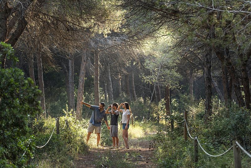 Vida Verda/Emergència Climàtica - Delta Llobregat: biodiversitat i agricultura de proximitat