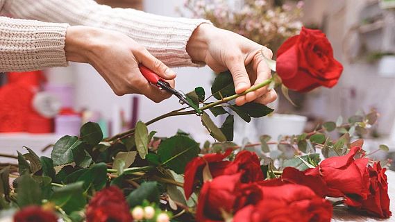 Serveis informatius Ràdio 4