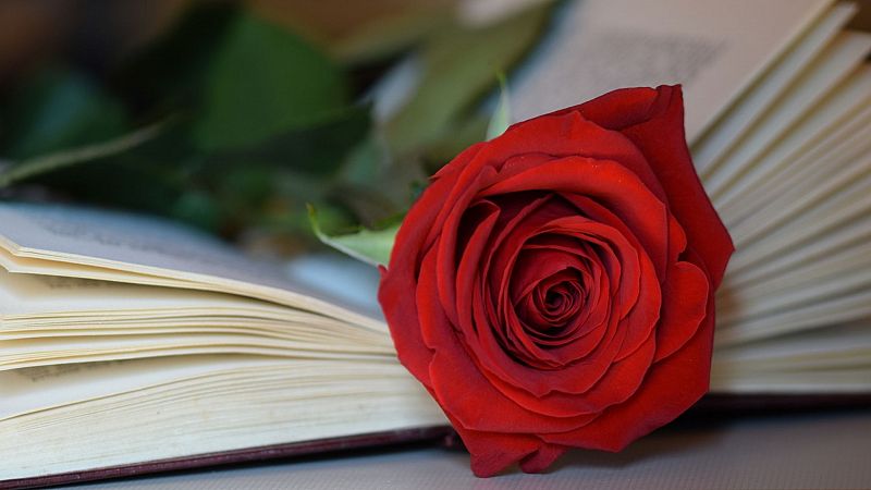 Las mañanas de RNE con Pepa Fernández - Una rosa y un libro por Sant Jordi - Escuchar ahora