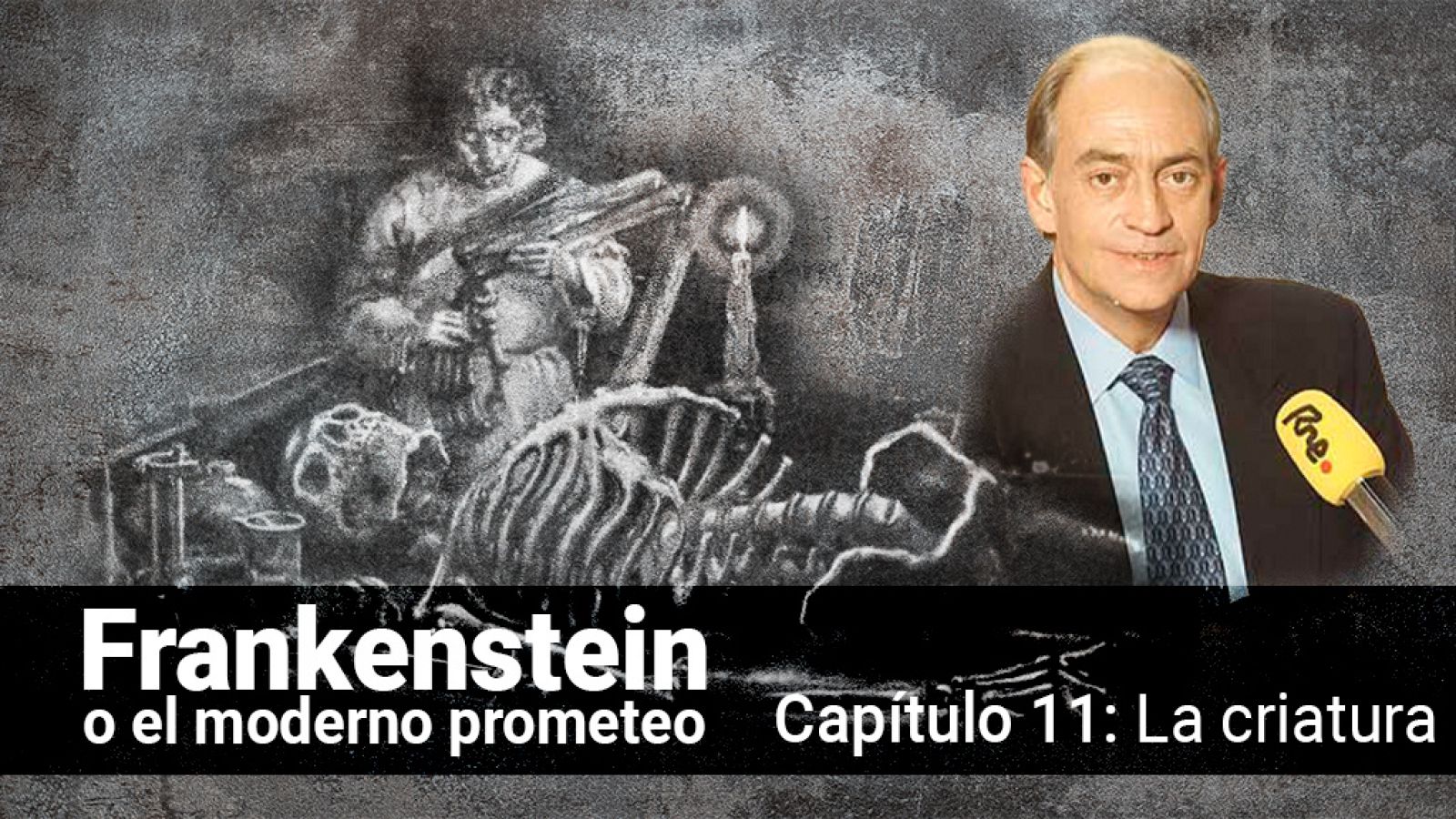 Frankenstein o el moderno Prometeo - Capítulo 11: La criatura