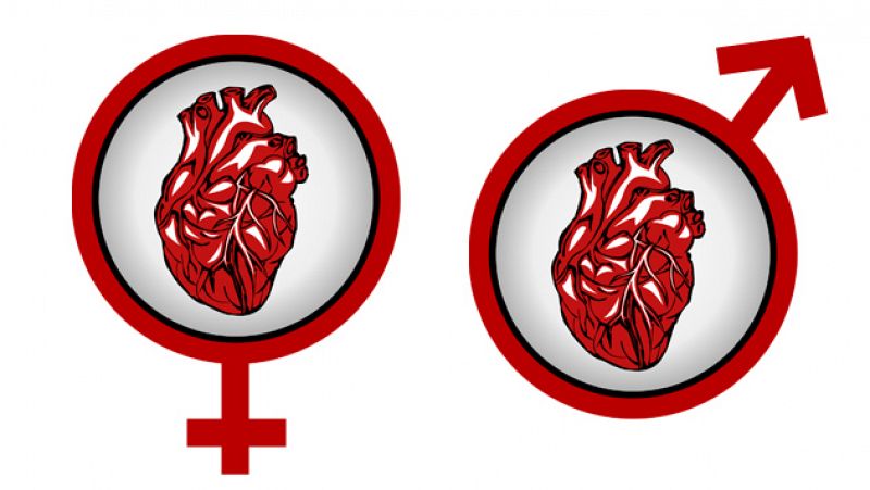 Diferencias entre un corazón femenino y uno masculino - escuchar ahora