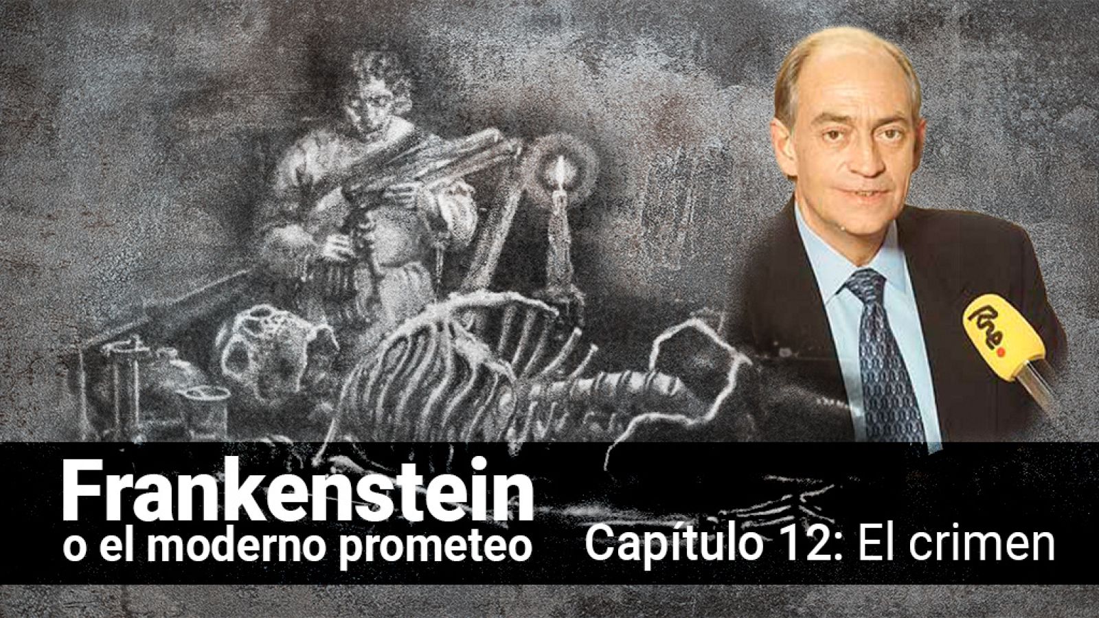  Frankenstein o el moderno Prometeo - Capítulo 12: El crimen