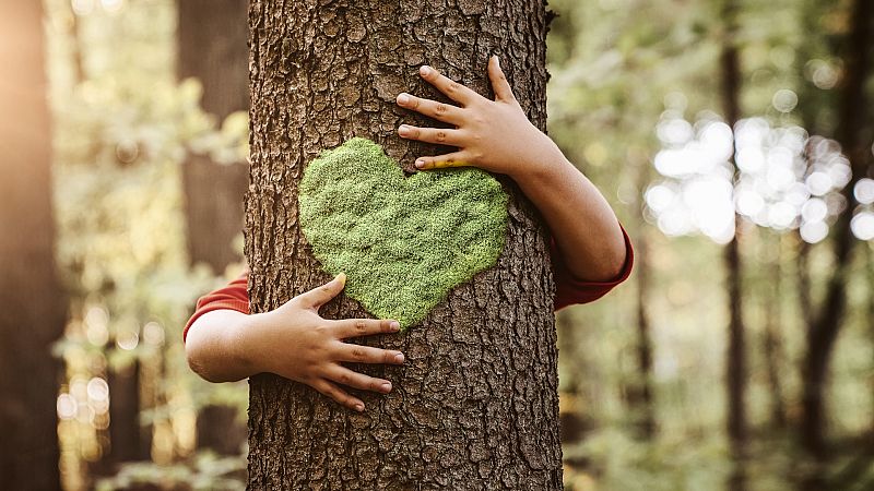 Más cerca - Valor económico de la naturaleza - Escuchar ahora