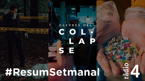 Després del col·lapse