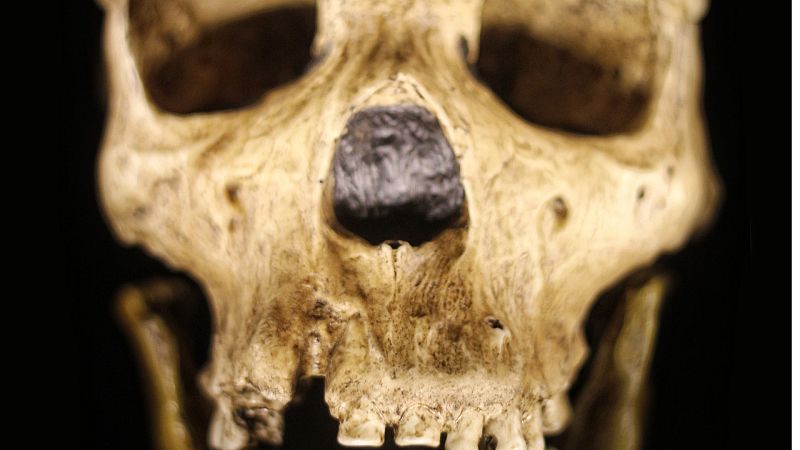 Gente despierta - Cosas de la vida - Mercedes Conde, conversando con neandertales - Escuchar ahora