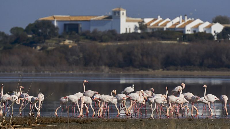 En clave Turismo - Laguna de Fuente de Piedra y los flamencos - 25/05/21 - escuchar ahora