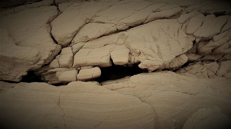 El bosque habitado - Cuatro educadoras por la belleza ambiental - 30/05/21 - escuchar ahora