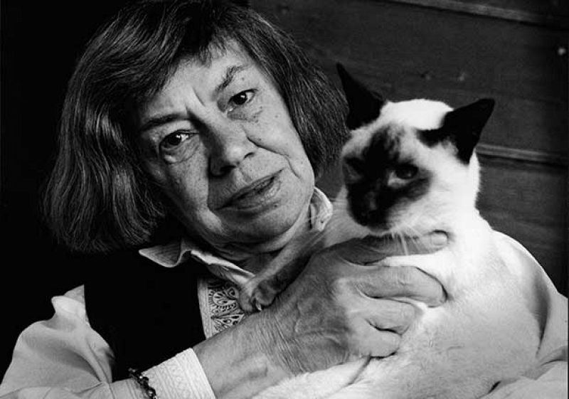 Territori clandestí - Patricia Highsmith i Donna Leon al Segre de Negre - Escoltar Ara