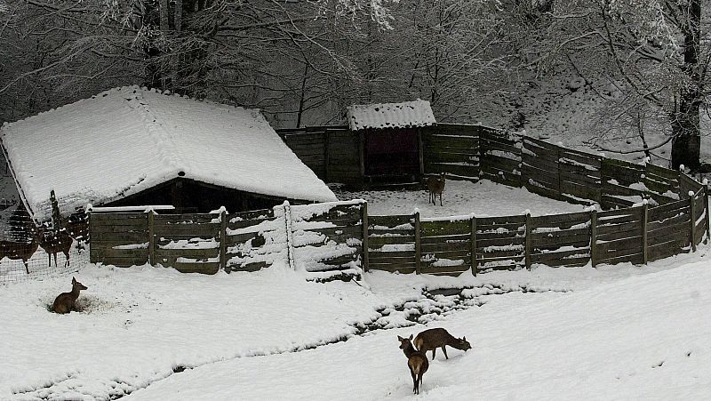 24 horas - El crimen de Velate - Escuchar ahora