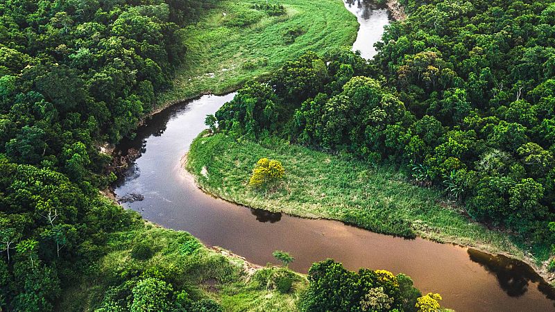 Sapiens - Día Mundial del Medio Ambiente - 05/06/21 - escuchar ahora