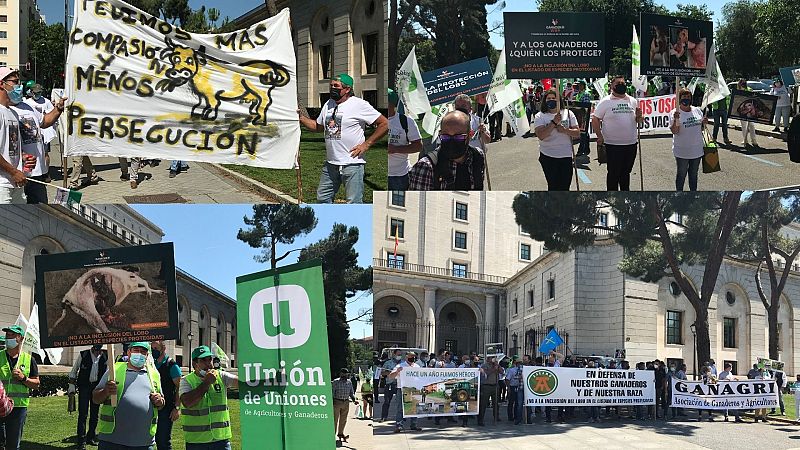 Más cerca - Los ganaderos se concentran contra la protección del lobo - Escuchar ahora