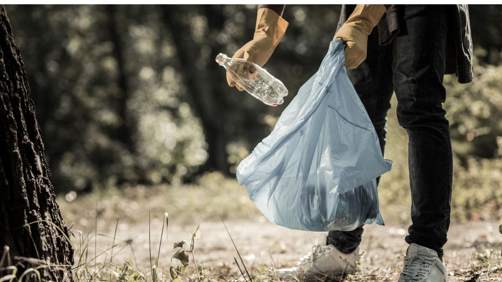 Mundo solidario - Voluntarios de Nestlé recogen 'basuraleza' en la Siberia Extremeña - 13/06/21 - escuchar ahora