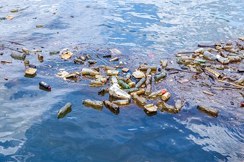 Españoles en la mar