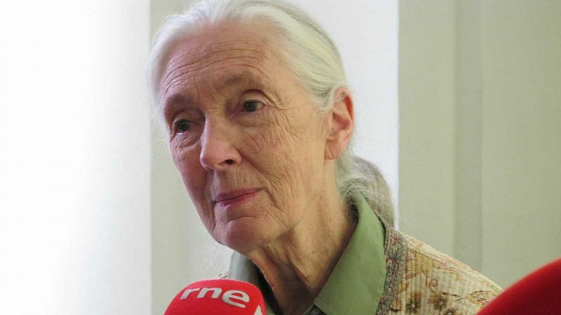La estación azul de los niños - Jane Goodall y Pulgarcita- 12/06/21 - escuchar ahora