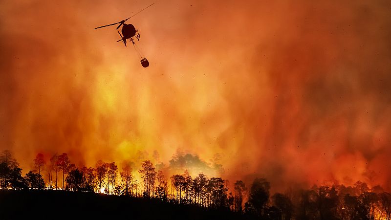 Más cerca - Incendios forestales: prevenir antes que tener que extinguir - Escuchar ahora