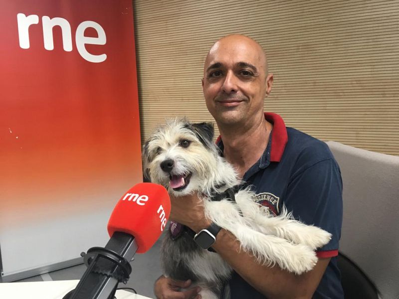 Entrevista con Jorge Conesa sobre Sheldon, perro de alerta médica