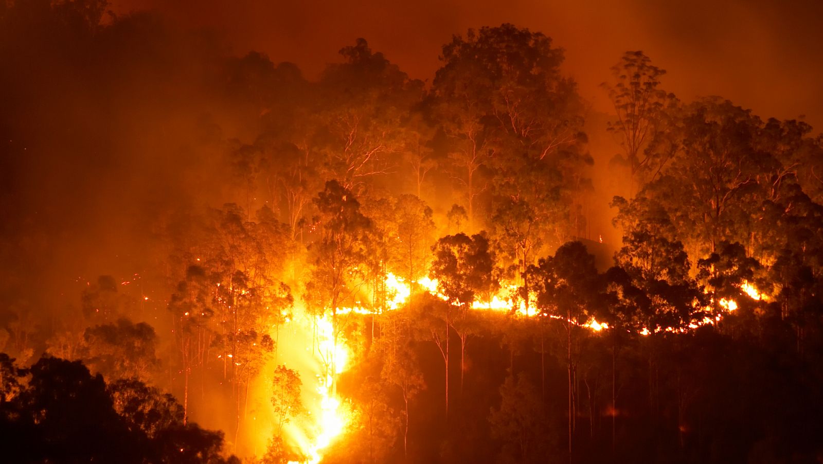 14 Horas Fin de Semana - Máximo peligro de incendios - Escuchar ahora