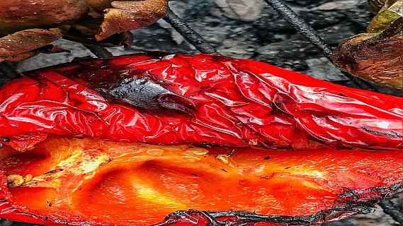 Un laboratorio en mi cocina