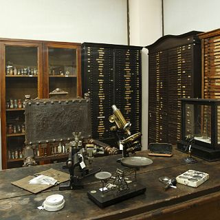 Santiago Ramón y Cajal: el universo en su cerebro