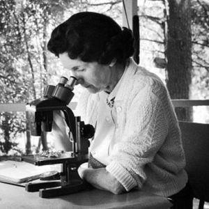 Atriles entre los árboles - Atriles entre los árboles - Bajo el viento oceánico, de Rachel Carson - 06/07/21 - escuchar ahora
