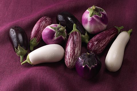 En Directe a Ràdio 4