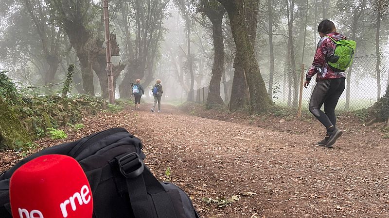 Más cerca - Quinta etapa del Camino de Santiago. Generando amistades - Escuchar ahora