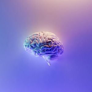 Música y videojuegos - Música y videojuegos - Un gimnasio para tu cerebro - 19/07/21 - escuchar ahora