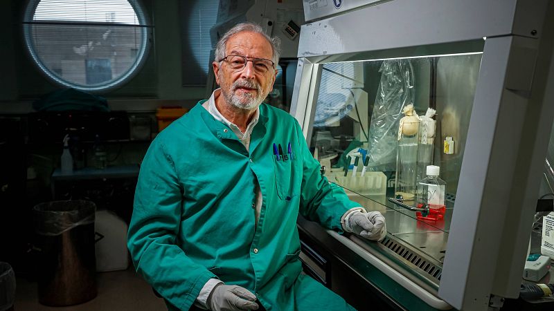 Las mañanas de RNE con Íñigo Alfonso - Enjuanes: "Hay que estar preparados, la estructura de investigación no se improvisa" - Escuchar ahora