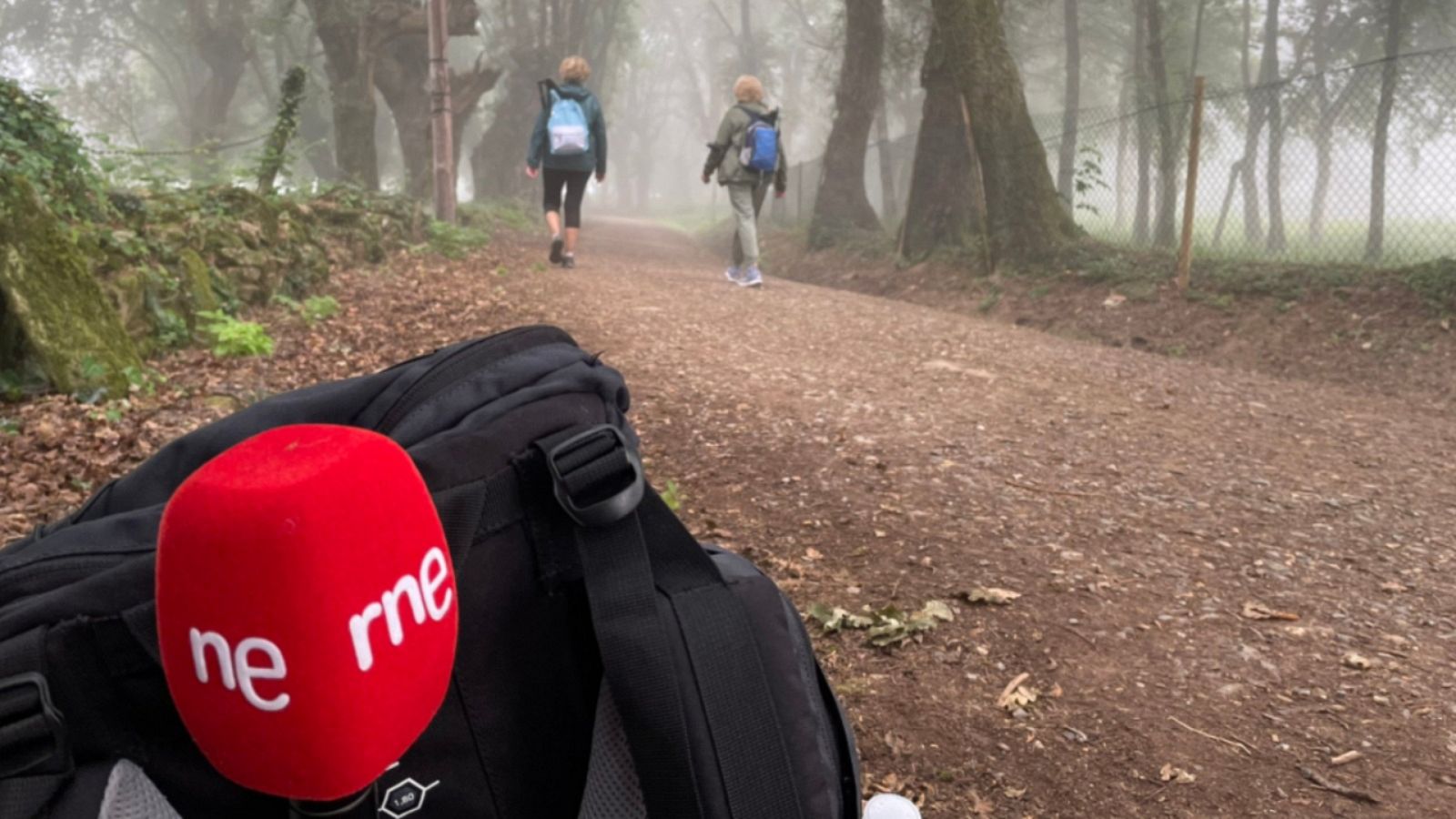 Las mañanas de RNE con Íñigo Alfonso - Las voces del Camino de Santiago - Escuchar ahora