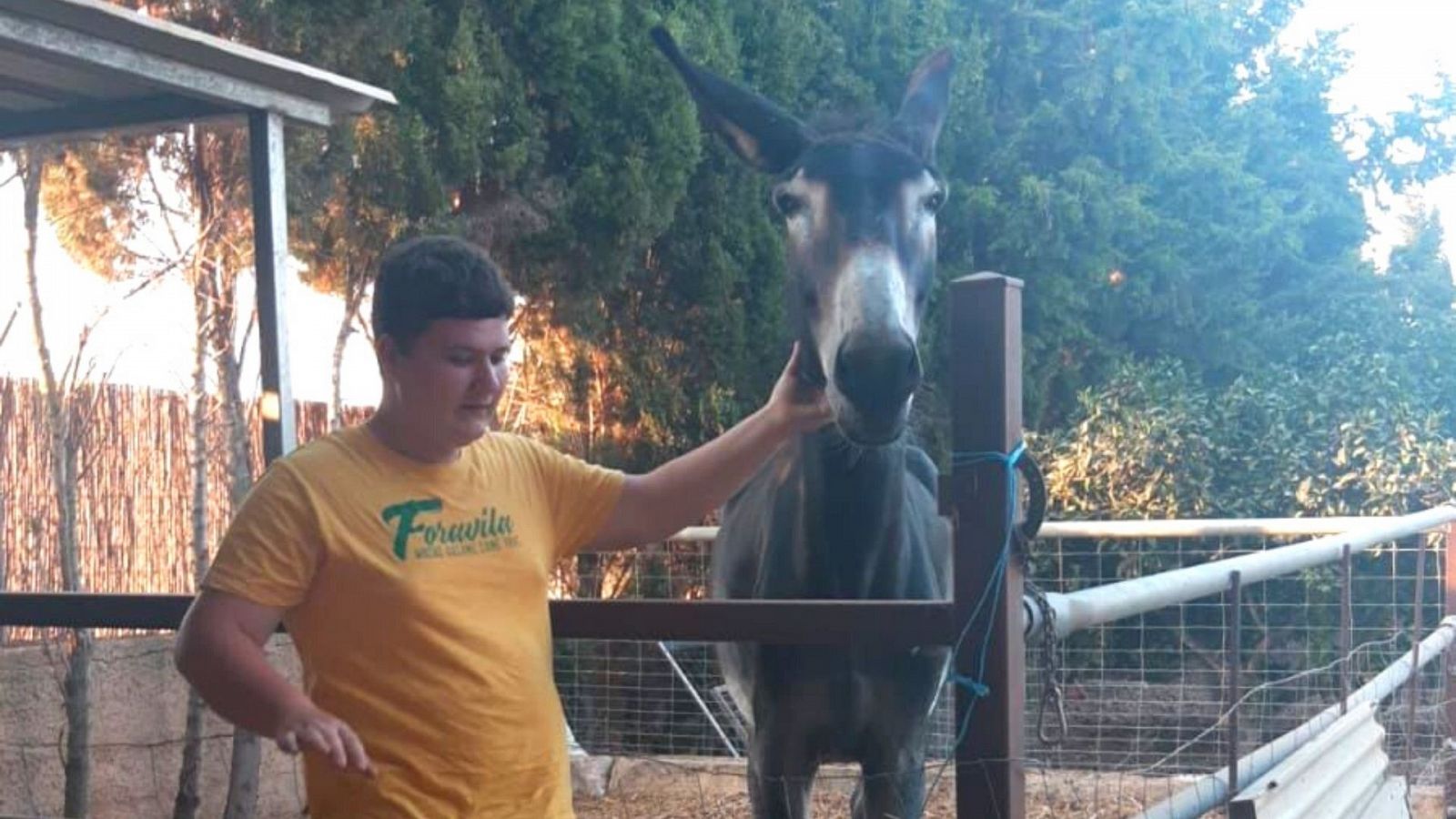 Gente despierta de verano - Miquel Montoro nos enseña a cocinar conejo con cebolla - Escuchar ahora