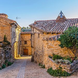 Más cerca - Más cerca - Proyecto Arraigo: repoblación sostenible - Escuchar ahora