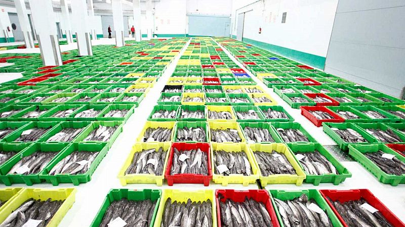 El gallo que no cesa - Tres décadas de madrugones y trabajo en la lonja de A Coruña - Escuchar ahora 