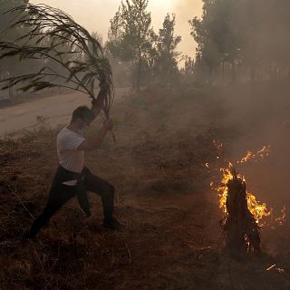 14 Horas fin de semana