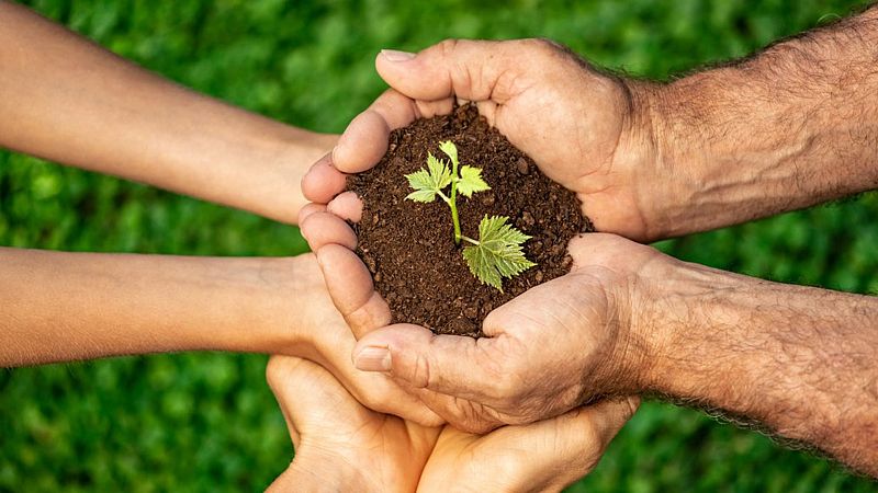 De vuelta en Radio 5 - La transición ecológica - 15/08/21 - Escuchar ahora