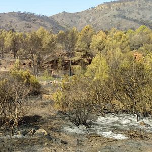 Más cerca - Más tarde - España arde - Escuchar ahora