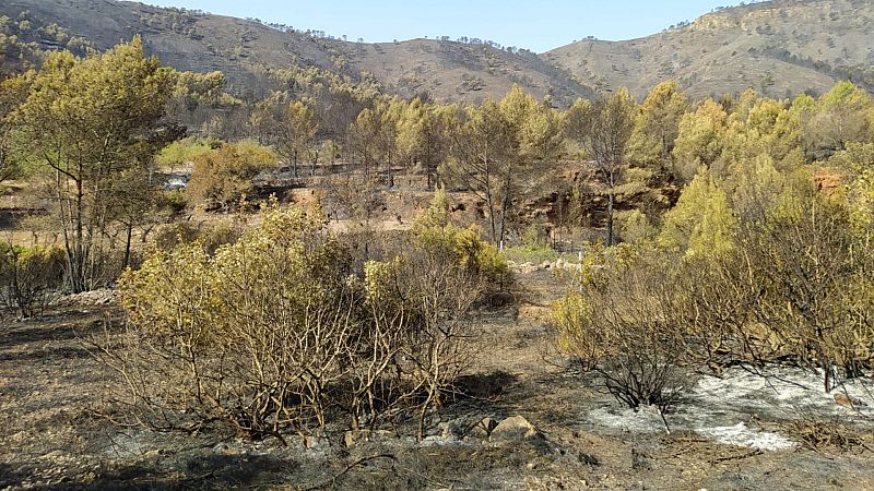 Más tarde - España arde - Escuchar ahora 