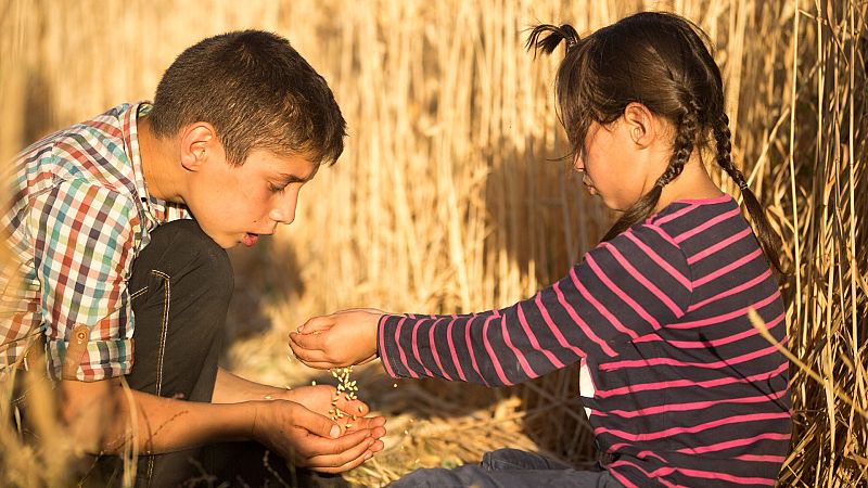 Más cerca - Niños saharauis: segundo año sin venir a España - Escuchar ahora 
