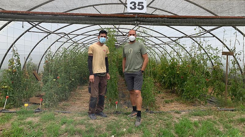 14 Horas - Tahir, huído afgano: tres días sin saber nada de su familia  -  Escuchar ahora