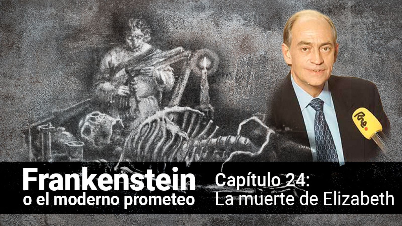 Frankenstein o el moderno Prometeo - Capítulo 24: La muerte de Elizabeth