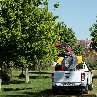 España a las 8 fin de semana