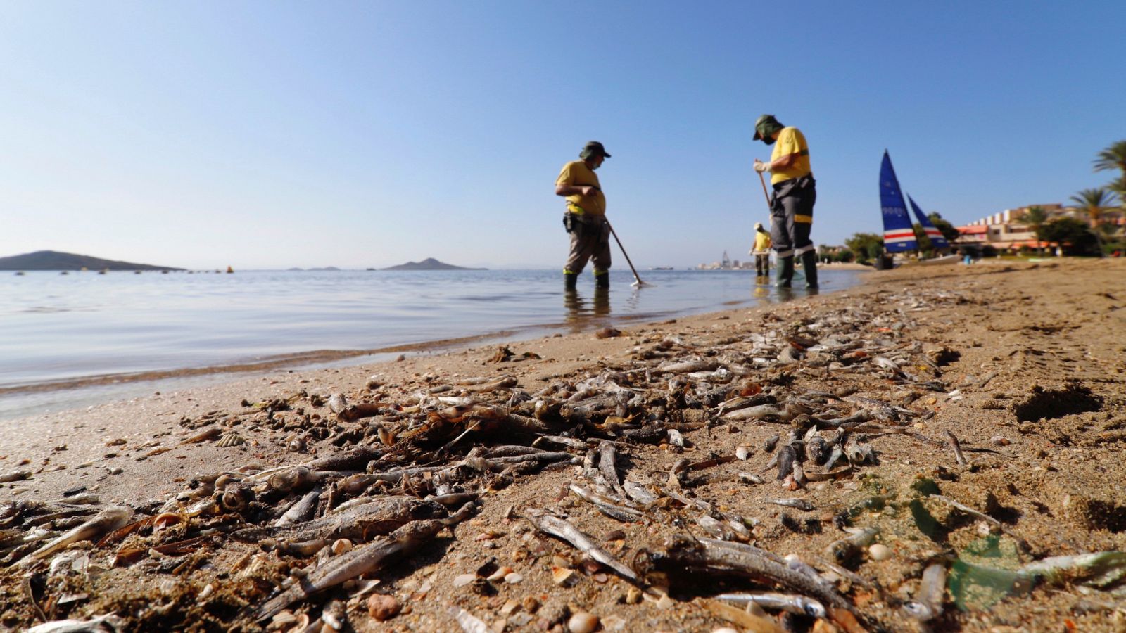 24 horas - "El Mar Menor se recuperará si se regulan los vertidos" - Escuchar ahora