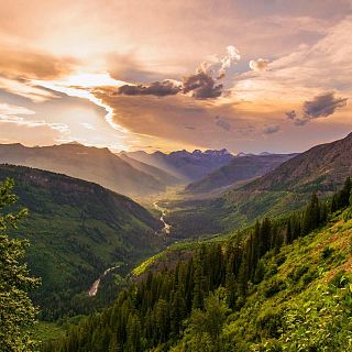 El gallo que no cesa