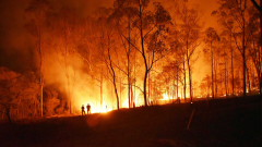 Reportajes Emisoras - Albacete -  Riesgo de desertificación por incendios forestales - 09/09/21