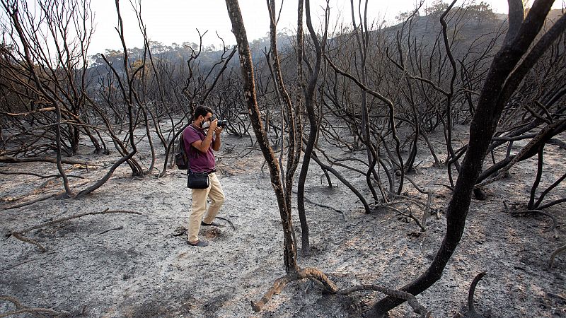 Crónica de Andalucía - El incendio de Sierra Bermeja afecta ya a 3.600 hectáreas - Escuchar ahora