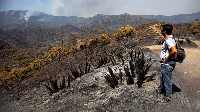 Las mañanas de RNE con Íñigo Alfonso - Bomberos: "Esperamos estabilizar el incendio en uno o dos días" - Escuchar ahora