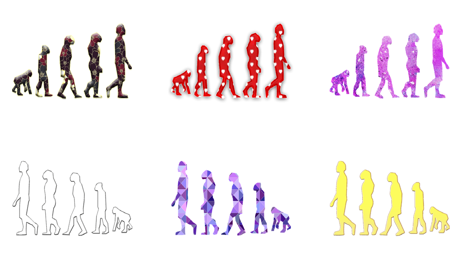 Entre probetas - La evolución no tiene sentido; ¿o sí? - 14/09/21 - Escuchar ahora