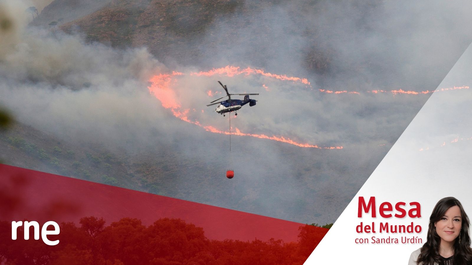 24 horas - Mesa del mundo: incendios, fenómenos extremos y cambio climático  - Escuchar ahora
