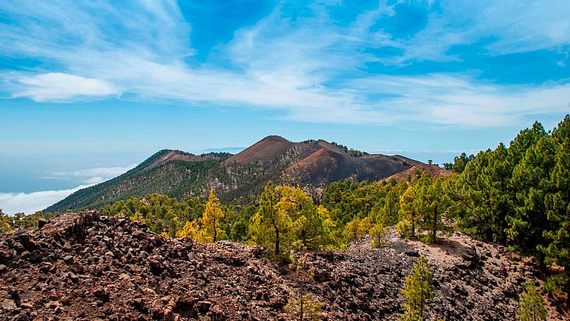 Más cerca - José Luis Barrera, vulcanólogo: "Hay que hacer prevención ya" - Escuchar ahora
